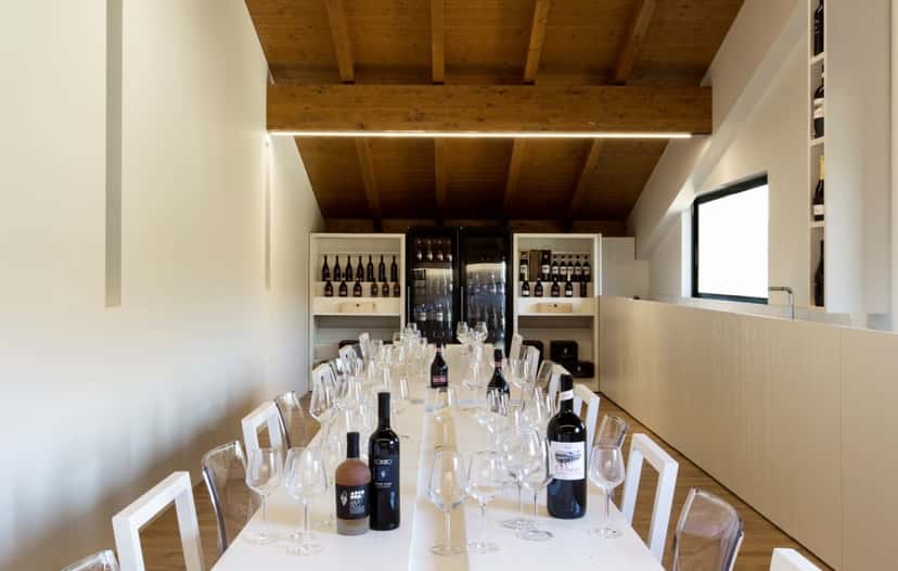 Wine Tasting and Tour at Illica Winery