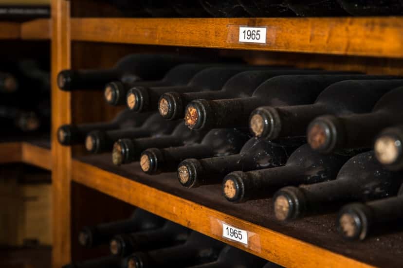 Wine Tasting Experience at Fattorie Giannozzi