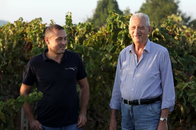 de-falco-winemakers-and-vines