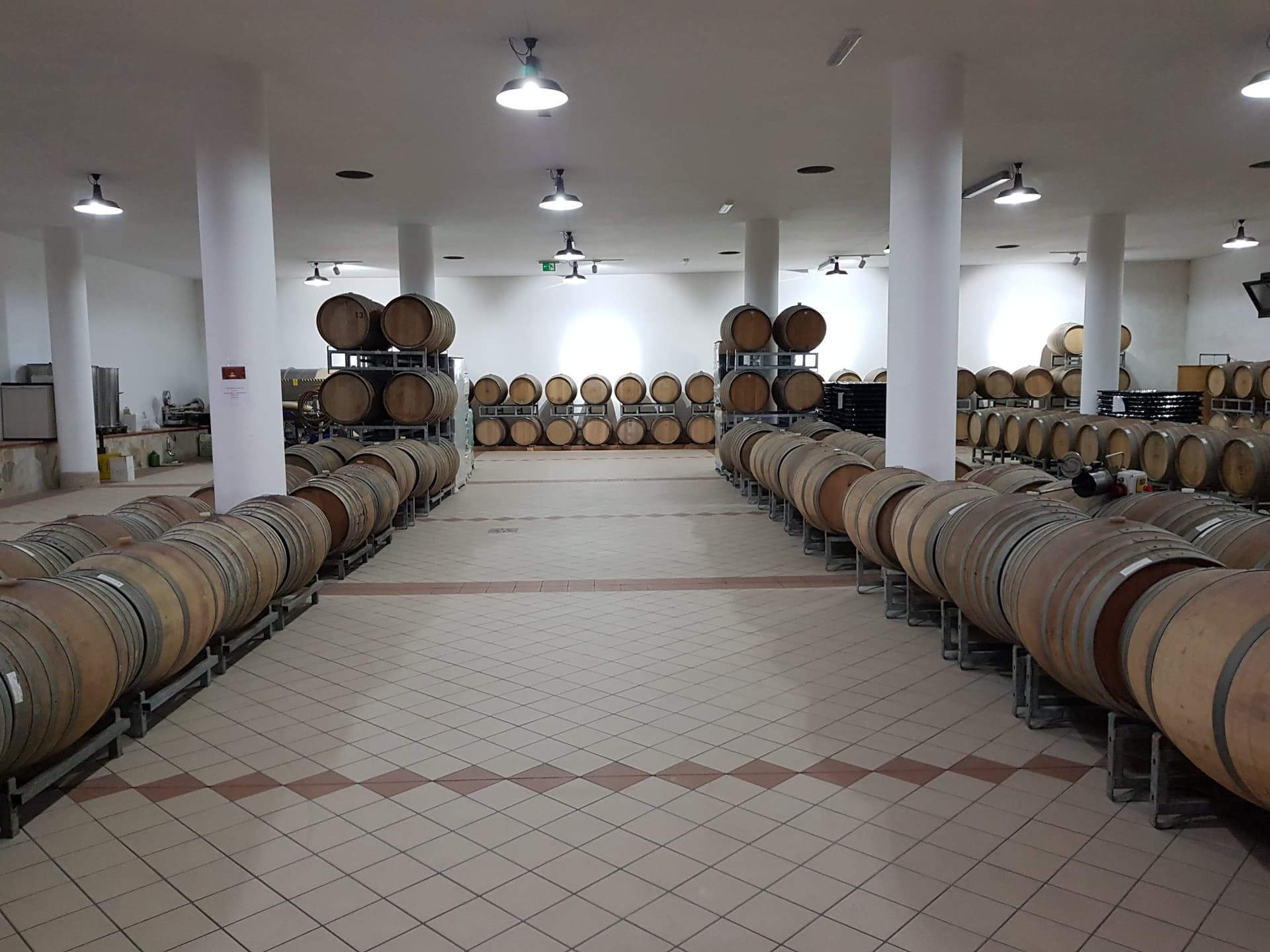 Degustação de vinhos e passeio na Tenute Soletta