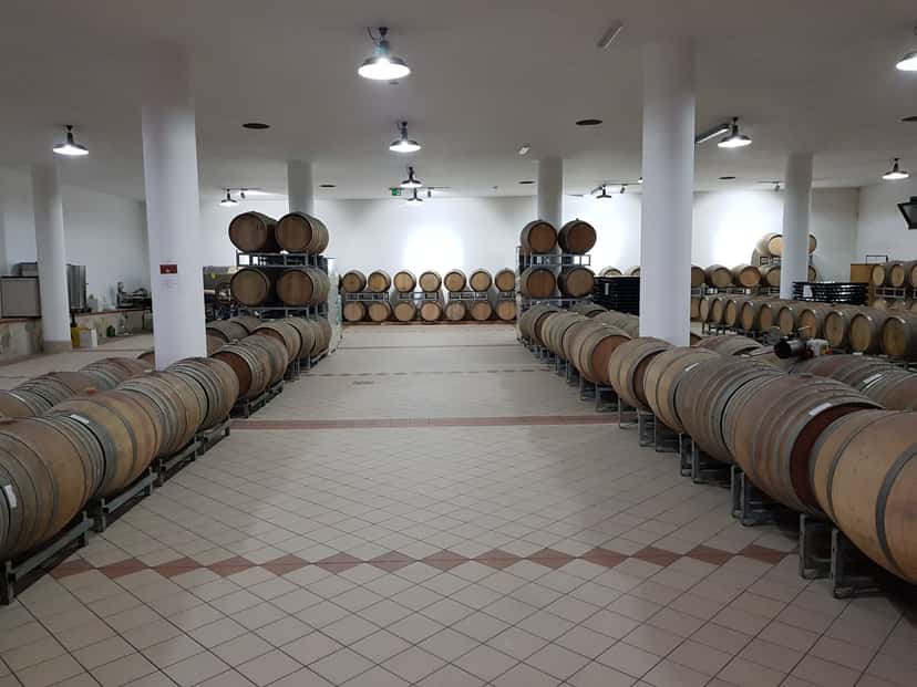 Wine Tasting and Tour at Tenute Soletta