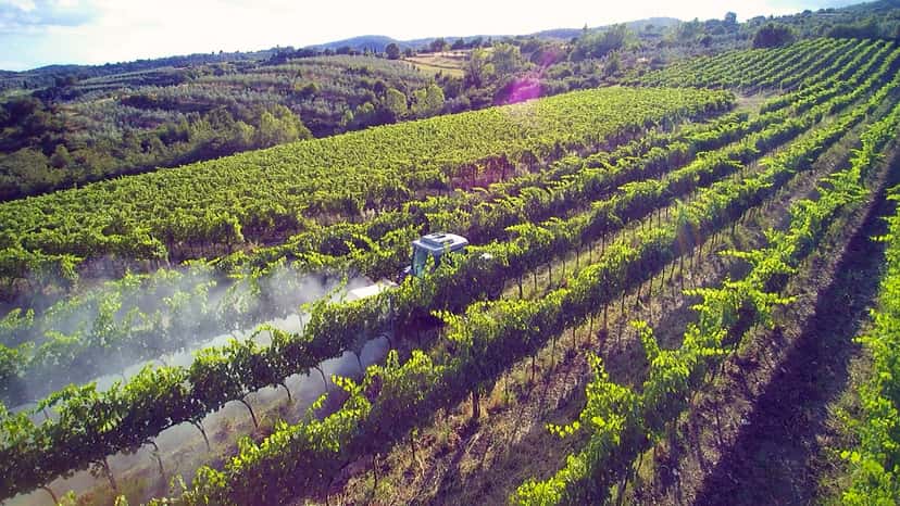 Browse all Cheese & Wine in Chianti