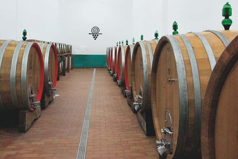 Degustação de vinhos e passeio em Terre di Serrapetrona
