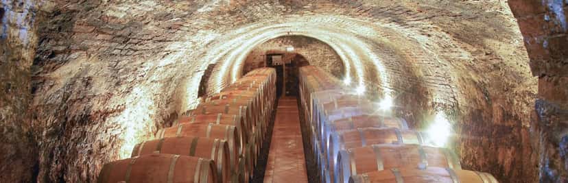Tenute Silvio Nardi Winery