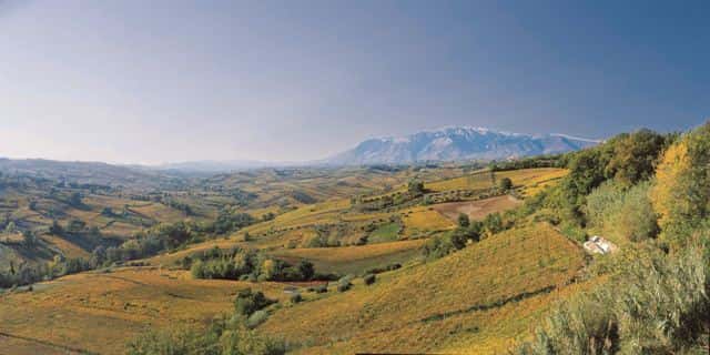 Agriverde Winery