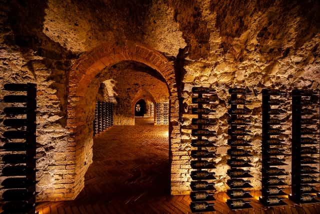 Tuscan Vineyard Tour & Wine Tasting at Argiano