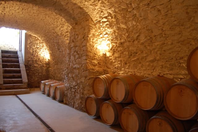 Degustação de vinhos e tour em Capolino Perlingieri