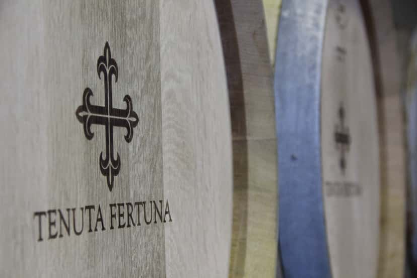 Alrededor de Fertuna en Tenuta Fertuna