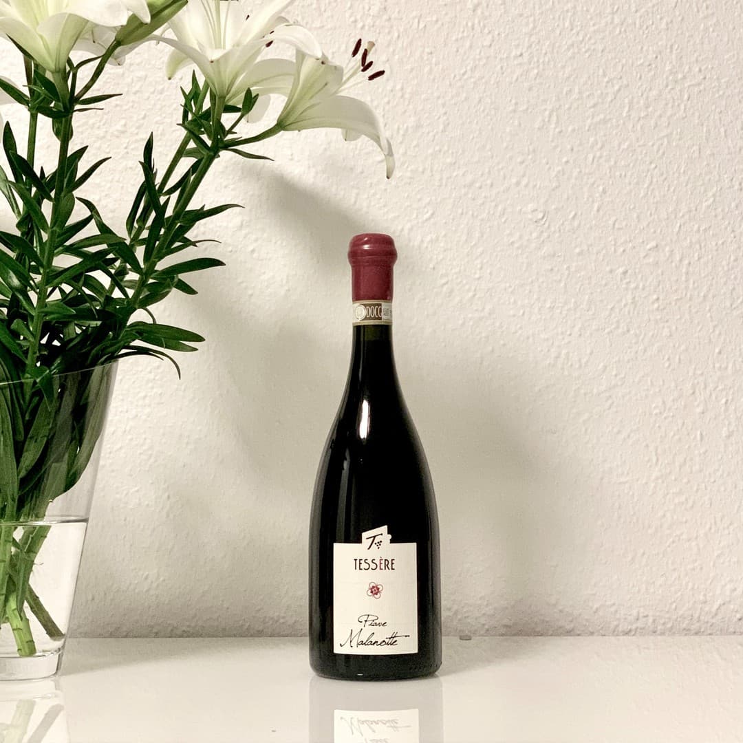 Weinprobe und Führung in der Tessere Cantina