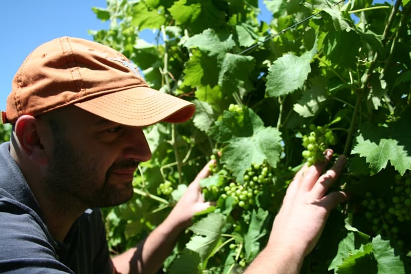 Benincasa Winery
