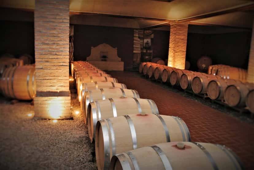Browse all Hike & Wine in Italy