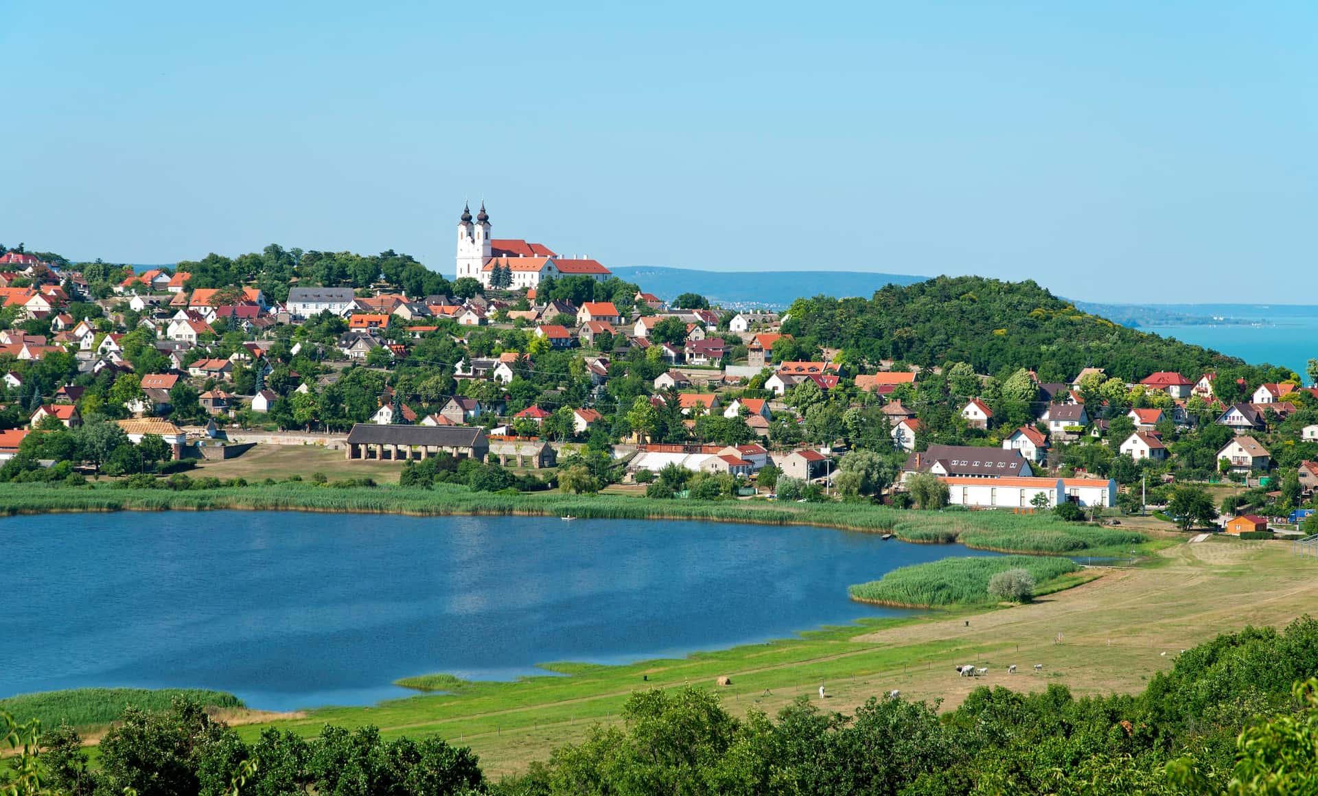 Landskap i en vinregion