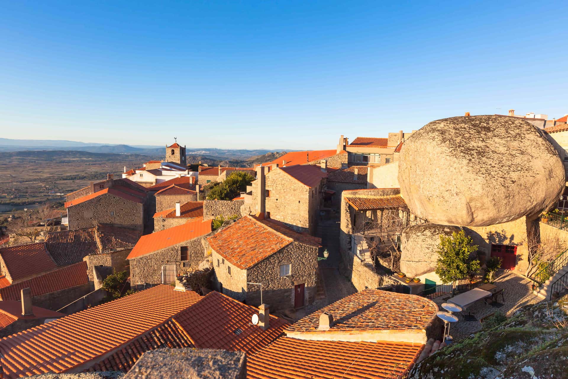 Wine region landscape