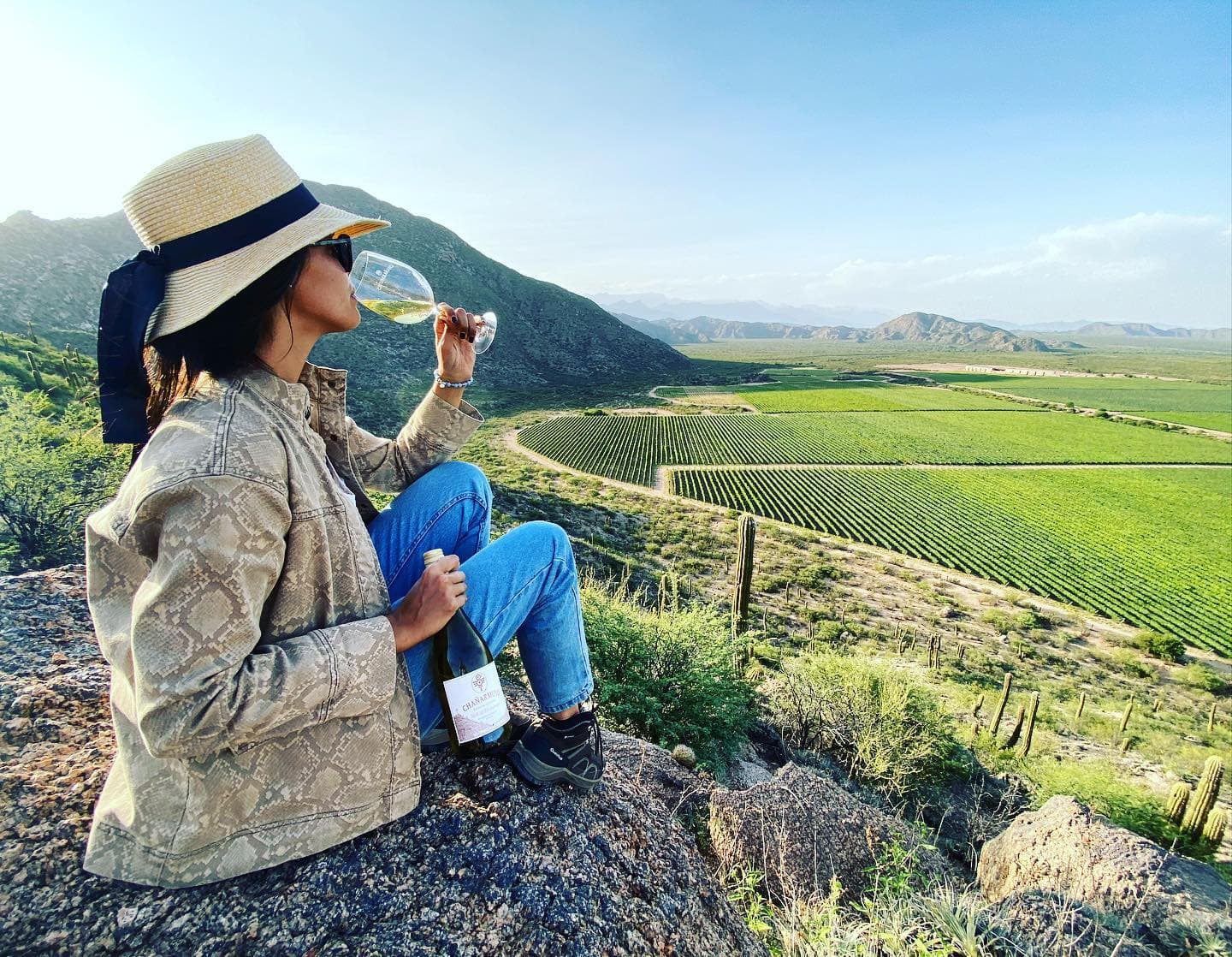 Uma experiência de férias no Chañarmuyo Wine Lodge