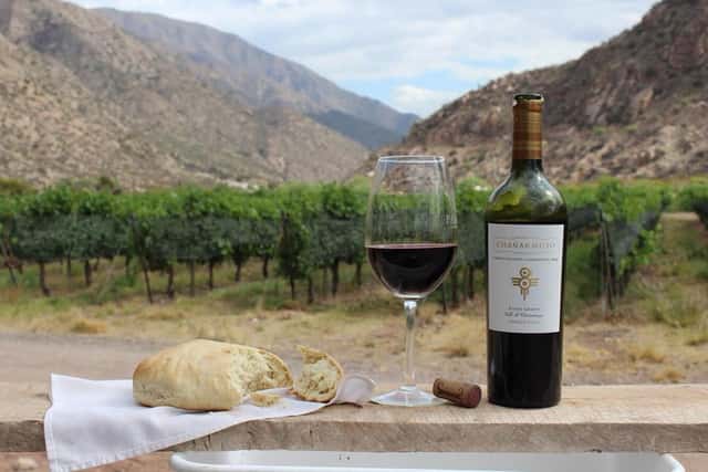 Chañarmuyo Winery