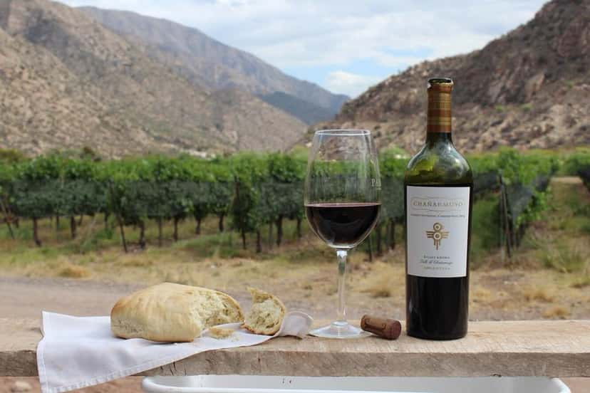 Chañarmuyo Winery