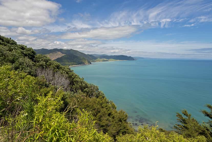 Região vinícola de Gisborne