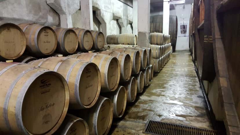 Bodegas San Huberto