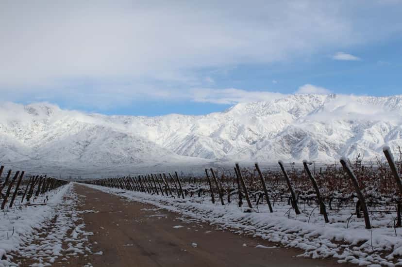 Wine Tasting and Tour at Bodegas San Huberto