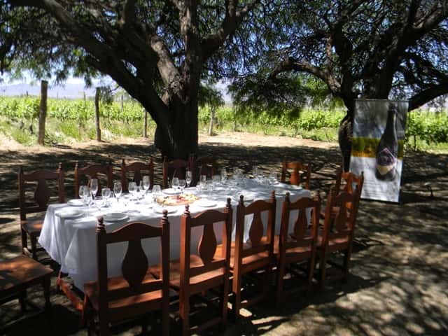 Bodega Burbujas De Altura