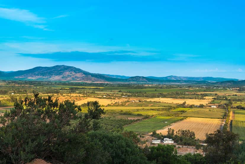 Curicó wine city