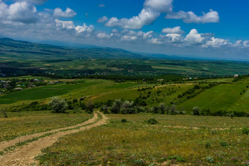 Landschaft einer Weinregion