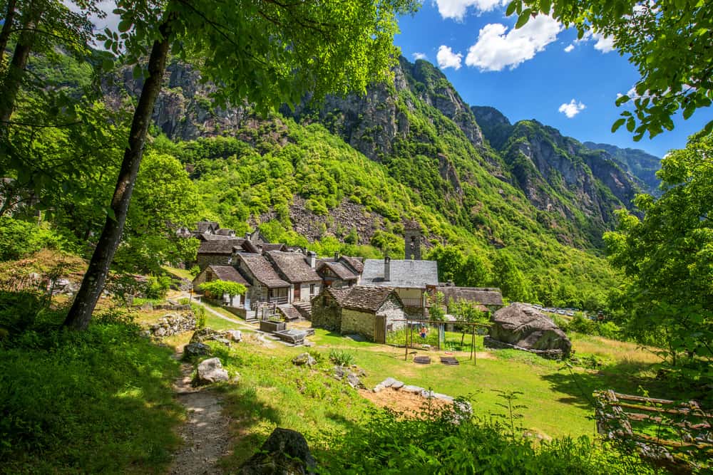 Landskap i en vinregion