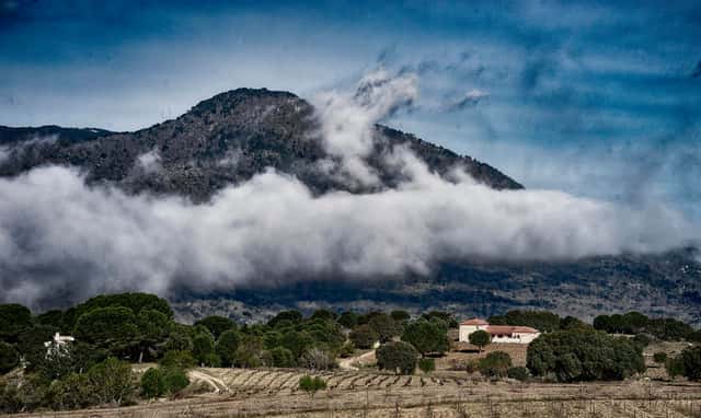 Bodegas Y Viñedos Valleyglesias