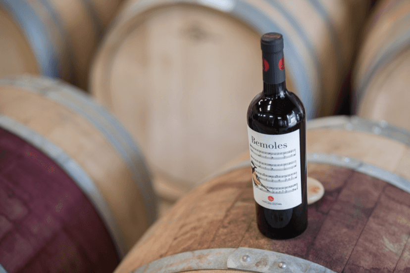 Weinprobe und Tour in der Bodega Cerro San Cristobal