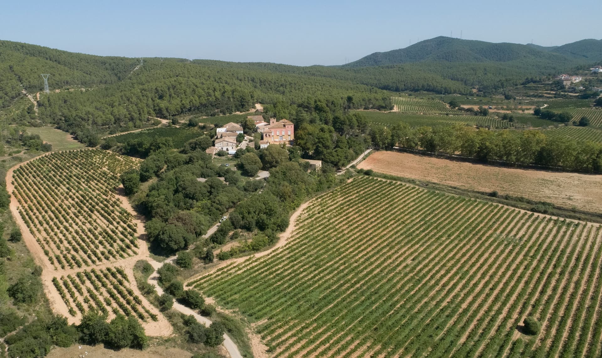 Casa Ravella Winery photo 1