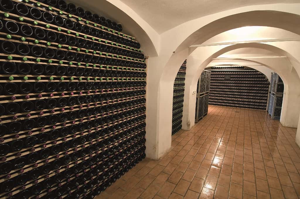 Weinprobe und Besichtigung in Istenič