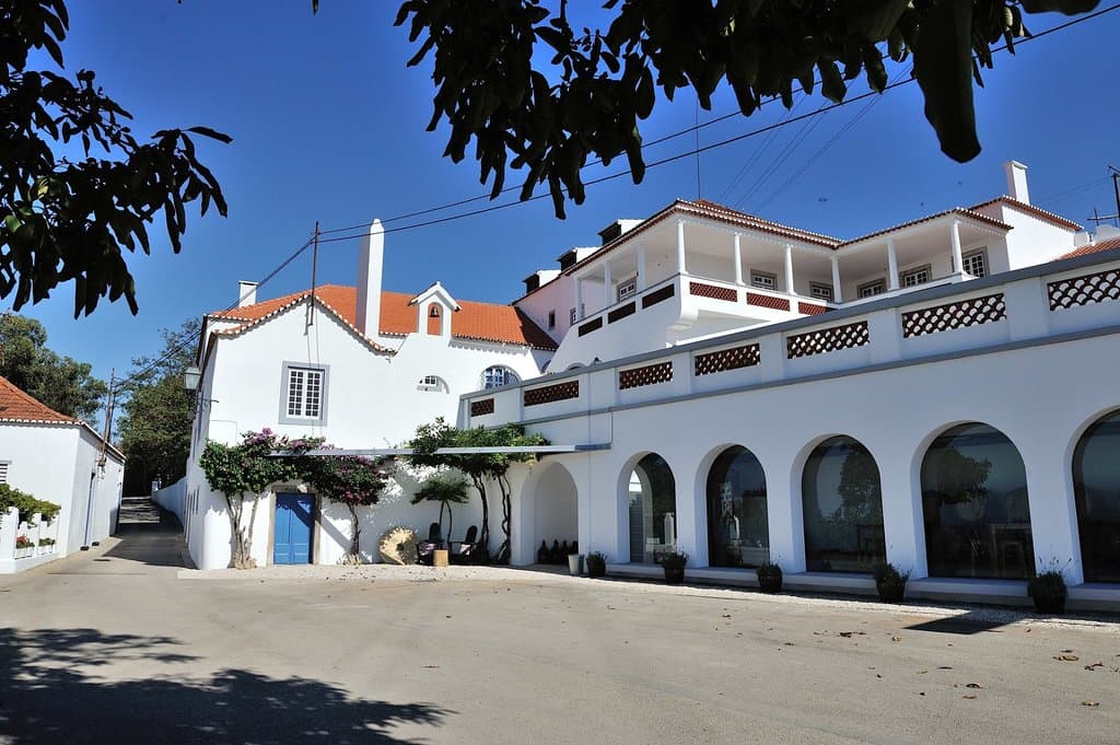 Quinta Do Piloto Winery