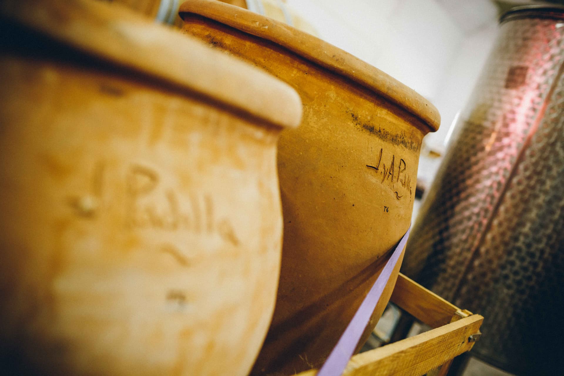 Degustação de vinhos naturais e tour em Bodegas Gratias. Familia Y Vinedos