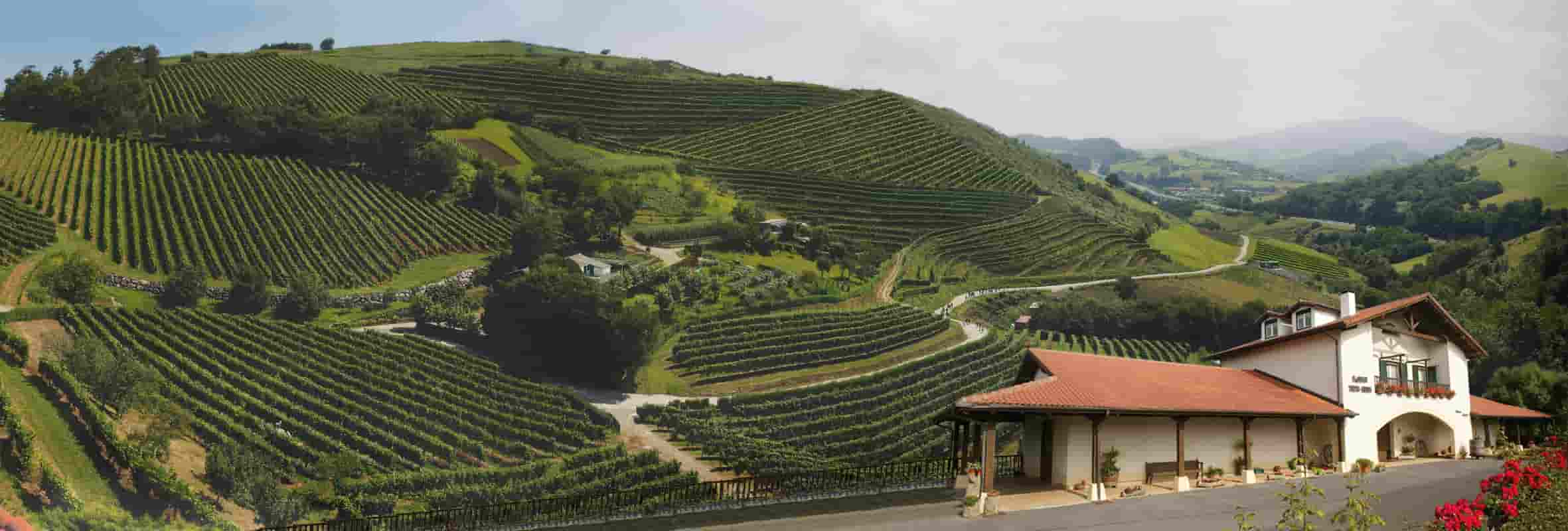 Degustação de vinhos e passeio em Talai Berri Txakolina
