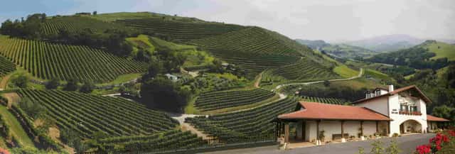 Talai Berri Txakolina Winery