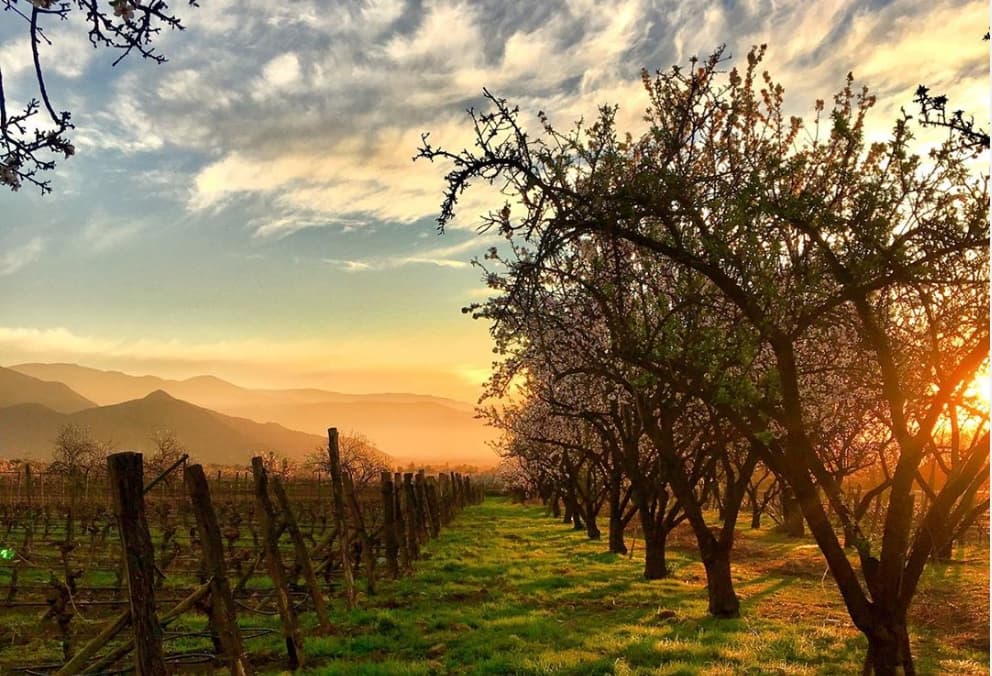 Antiyal Winery