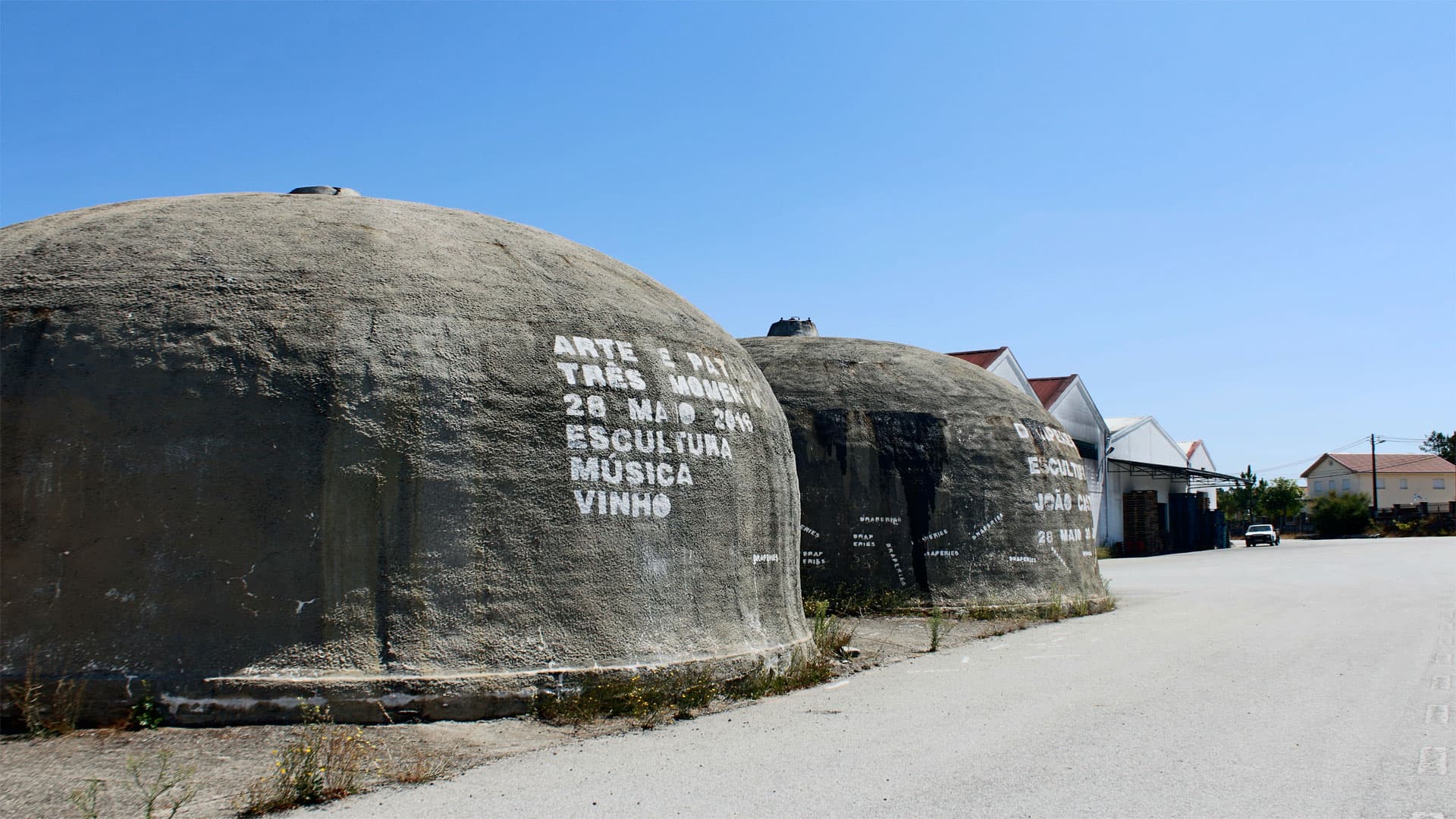 Degustazione di vini e tour a Beira Serra Vinhos