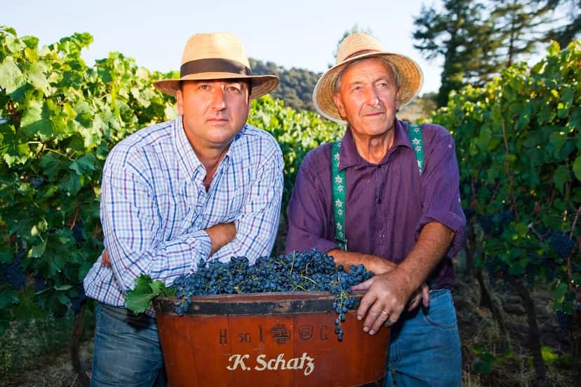 Exklusive Weinprobe in der Bodega F. Schatz: Weinberg, Kellererkundung und Premium-Weinprobe