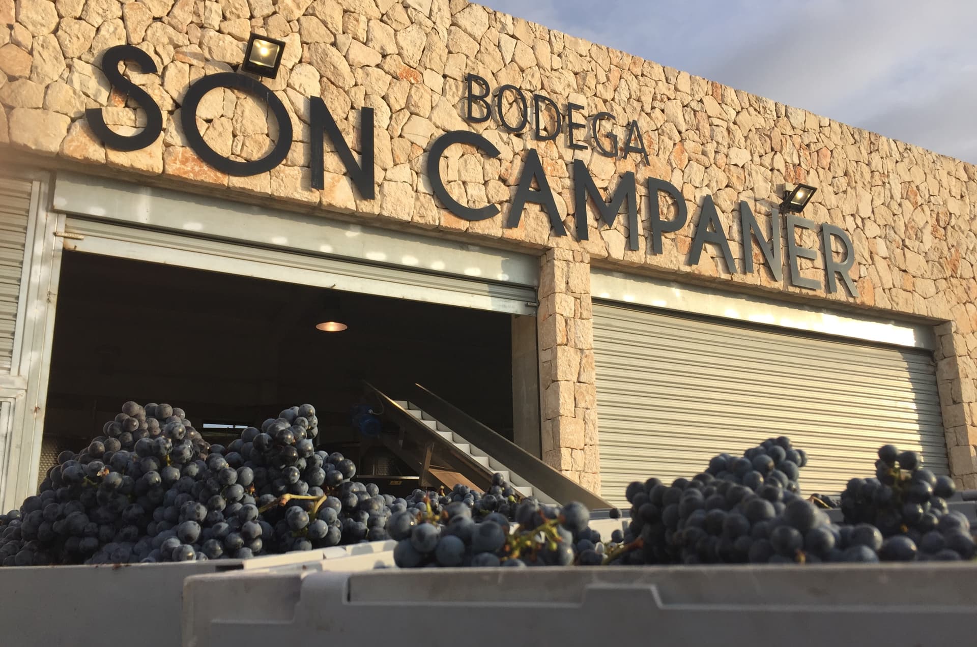 Bodega Son Campaner foto 1