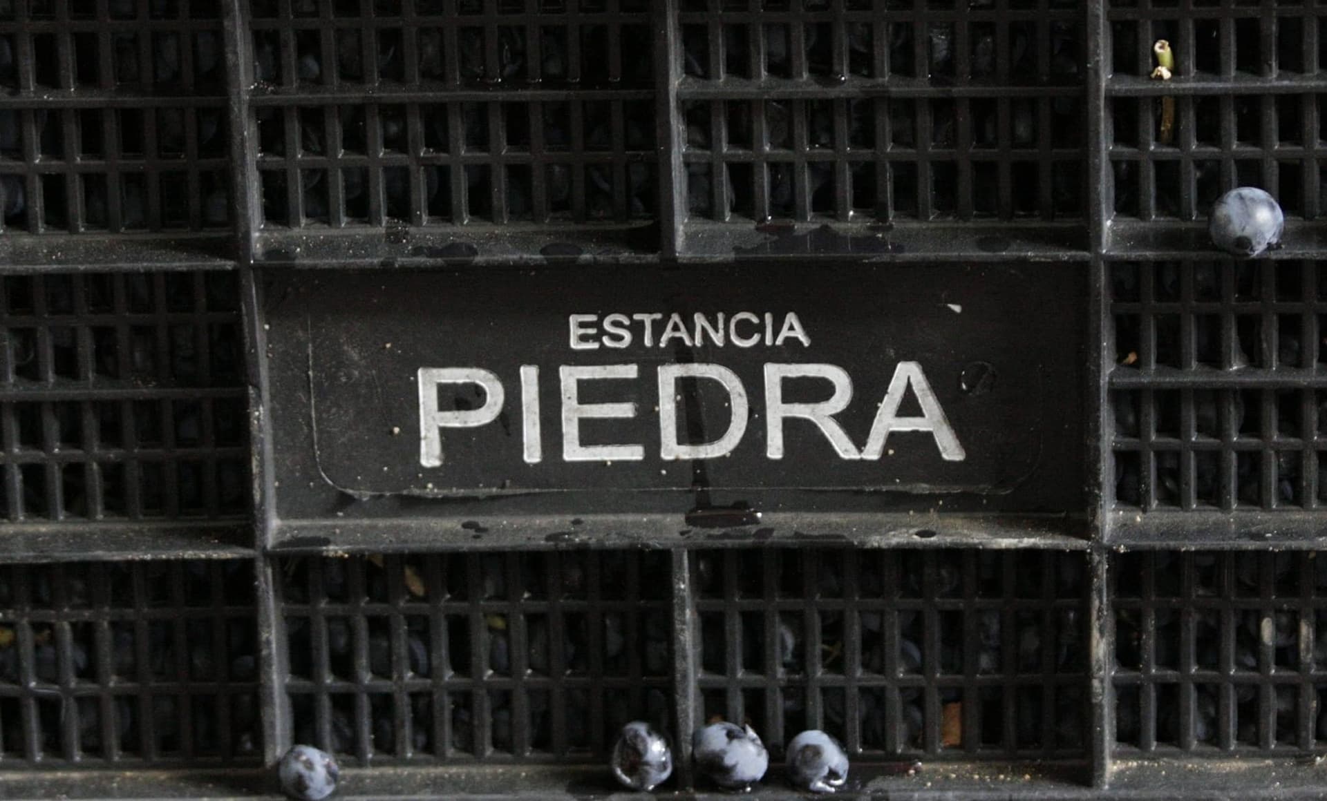 Bodega Estancia Piedra foto 1