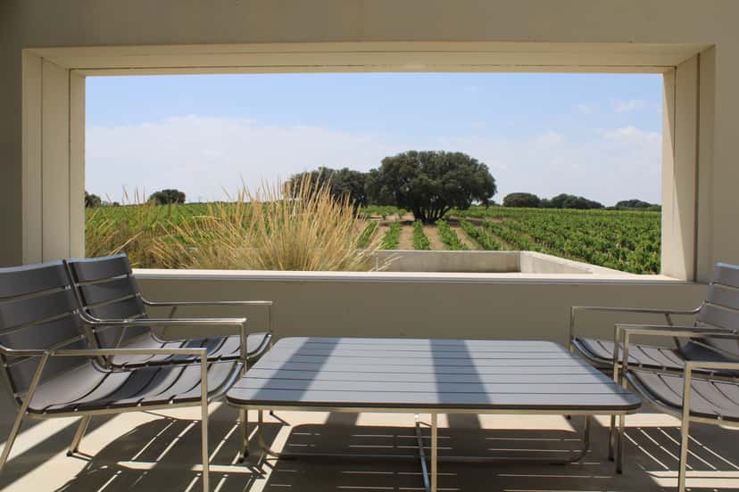 Weinprobe und Tour in Dehesa de Luna