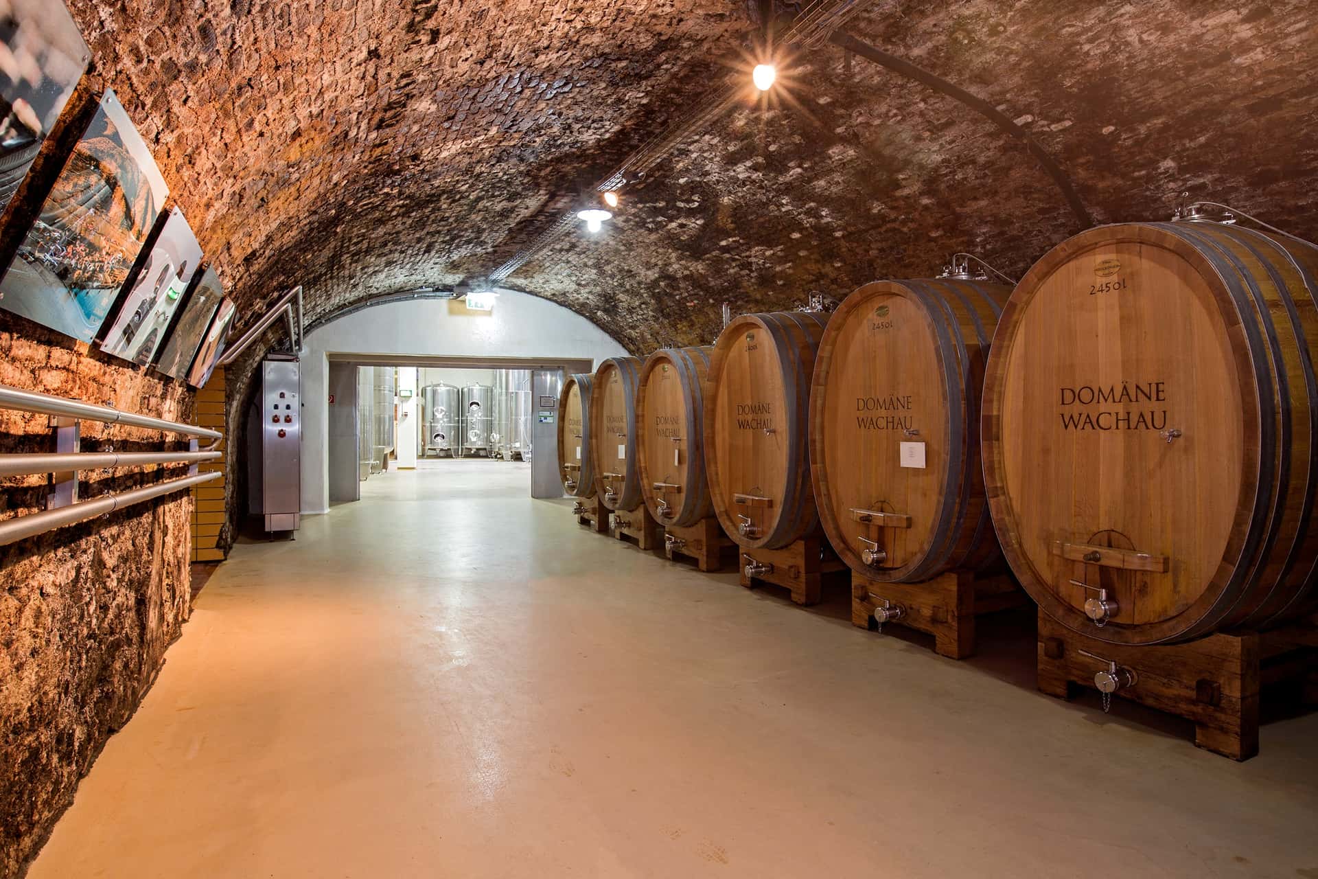 Degustazione di vini e tour al Domain Wachau