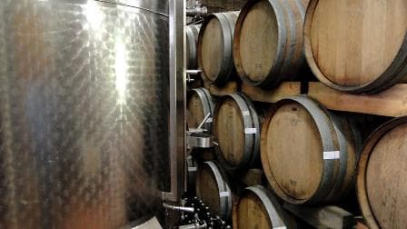 Coastal Region Wine & Barrel Tasting at High Constantia