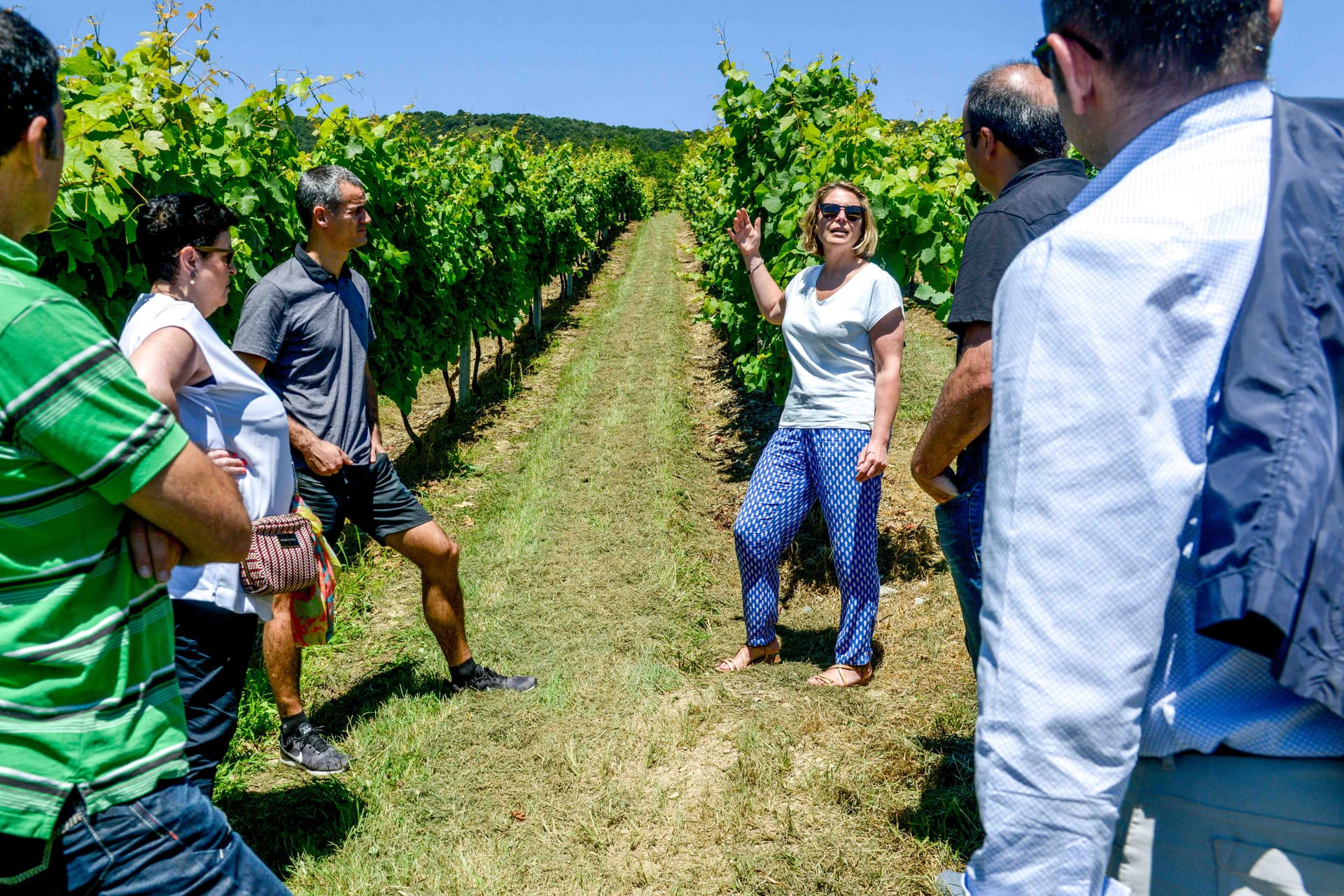 Degustação de vinhos e tour na Bodega Hiruzta