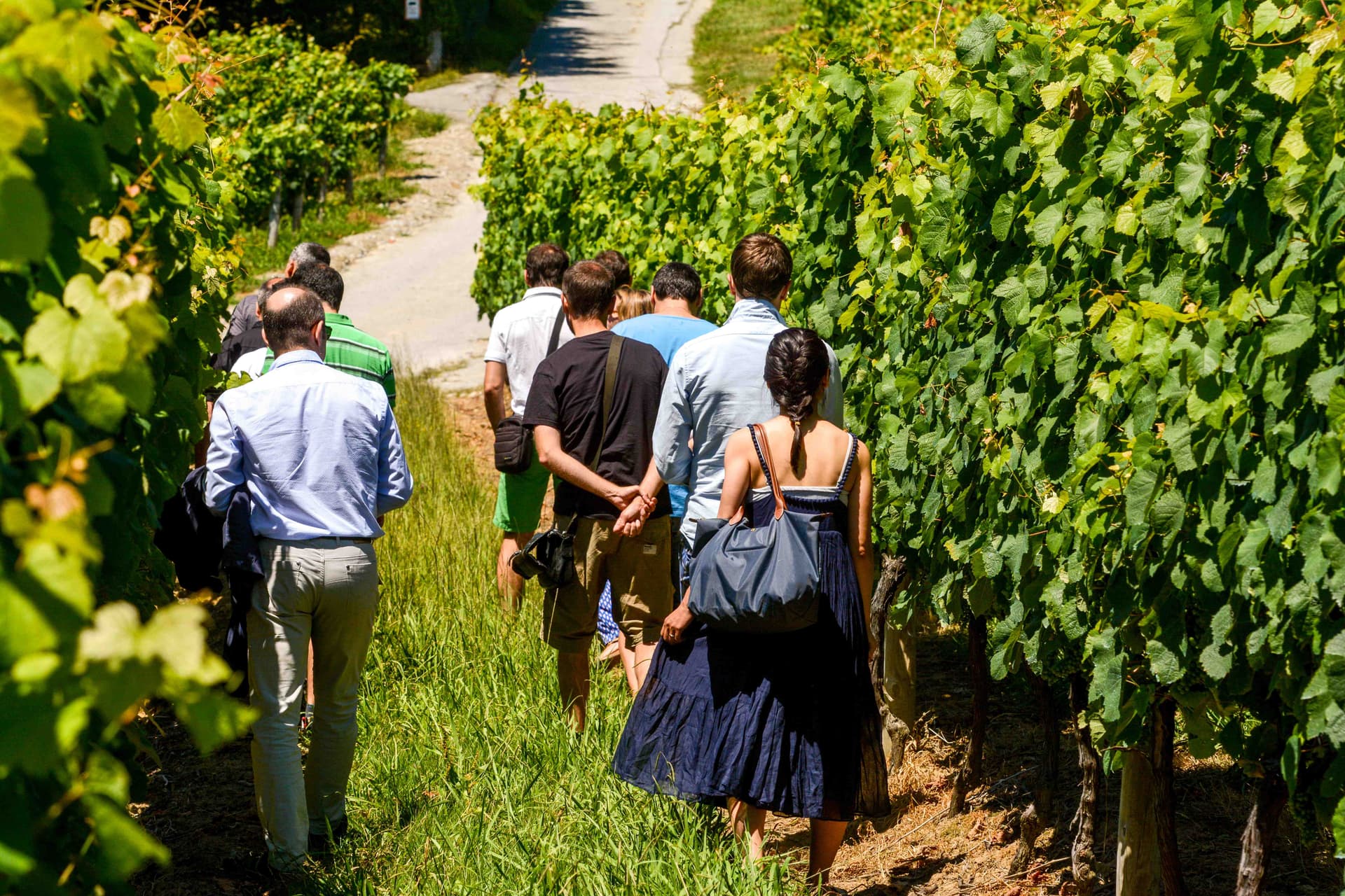 Hiruzta Bodega