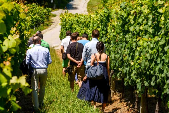 Hiruzta Bodega
