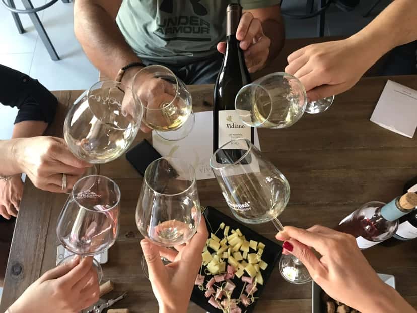 Cata de vinos y visita guiada a la bodega Idaia