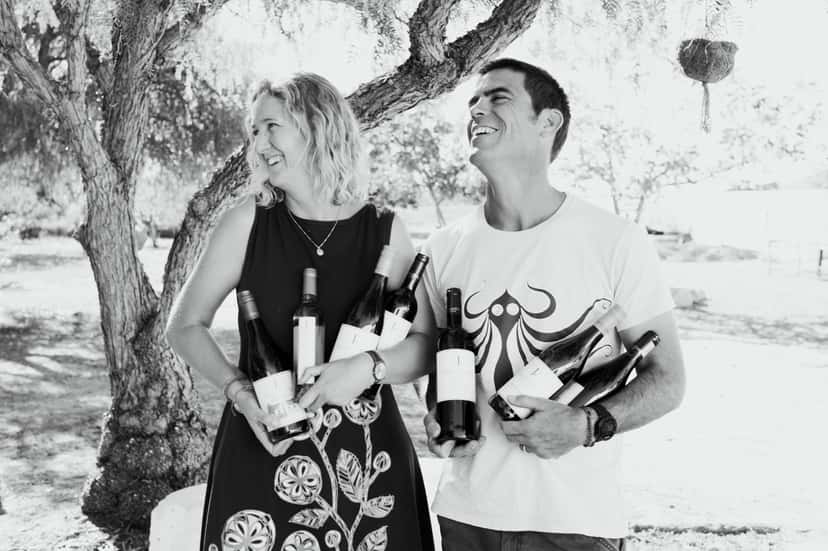 Coastal Region Wine & Vineyard Tour at Joostenberg