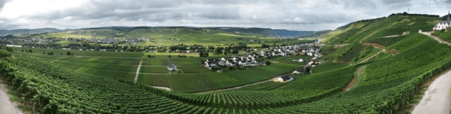 Weingut Karl Veit