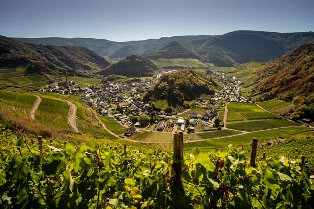 Winzergenossenschaft Mayschoss-Altenahr